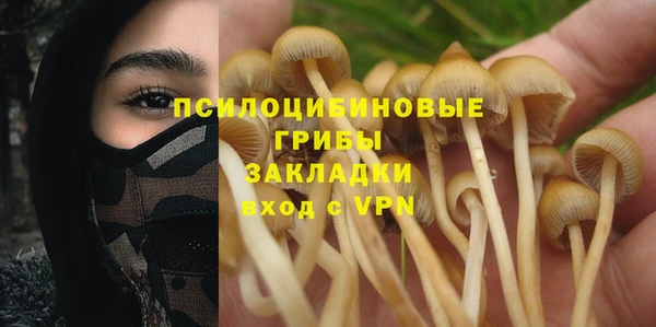индика Алексеевка