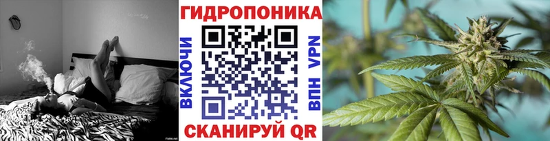 дарнет шоп  Чердынь  Канабис ГИДРОПОН 